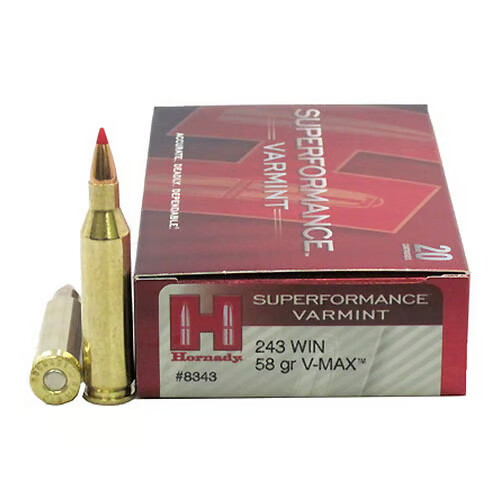 HORNADY SuperFormance Varmint 243 WIN 58Gr V-MAX Brass Rifle Ammunition | 20 Rounds